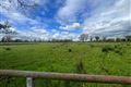 Windfield Upper , Menlough , Ballinasloe