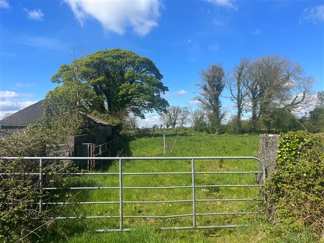 Photo 6 of 12 — Windfield Upper , Menlough , Ballinasloe, Co. Galway