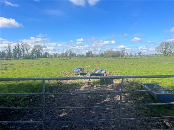 Photo 11 of 12 — Windfield Upper , Menlough , Ballinasloe, Co. Galway