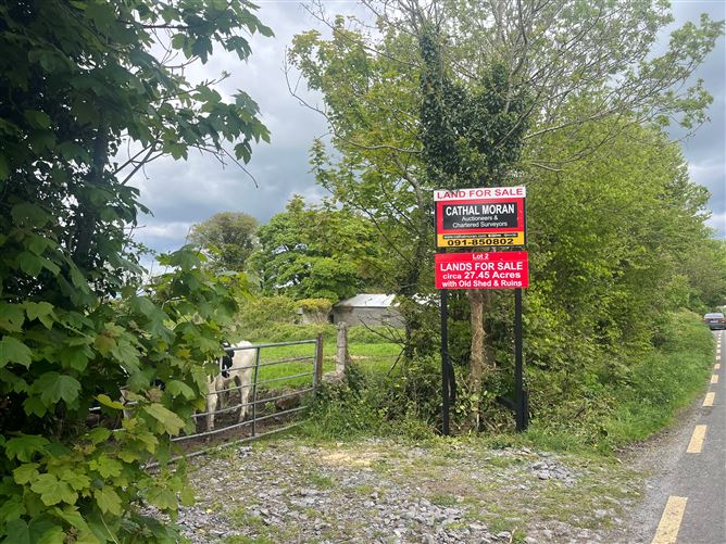 Photo 1 of 12 — Windfield Upper , Menlough , Ballinasloe, Co. Galway
