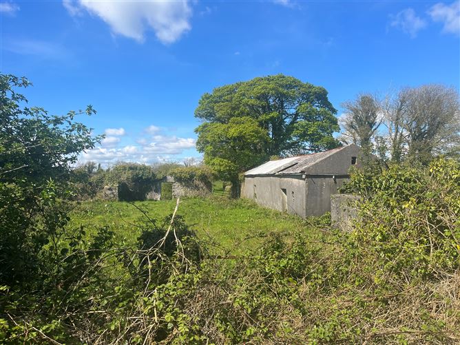 Photo 12 of 12 — Windfield Upper , Menlough , Ballinasloe, Co. Galway