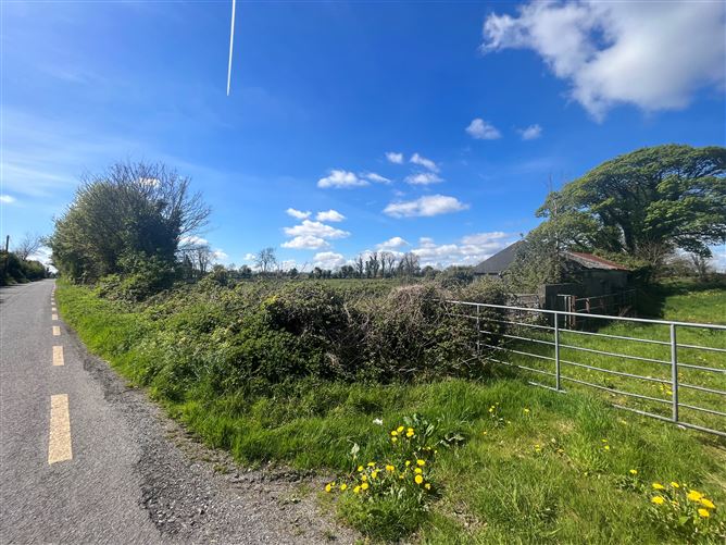 Photo 9 of 12 — Windfield Upper , Menlough , Ballinasloe, Co. Galway