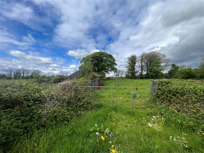 Windfield Upper , Menlough , Ballinasloe, Co. Galway