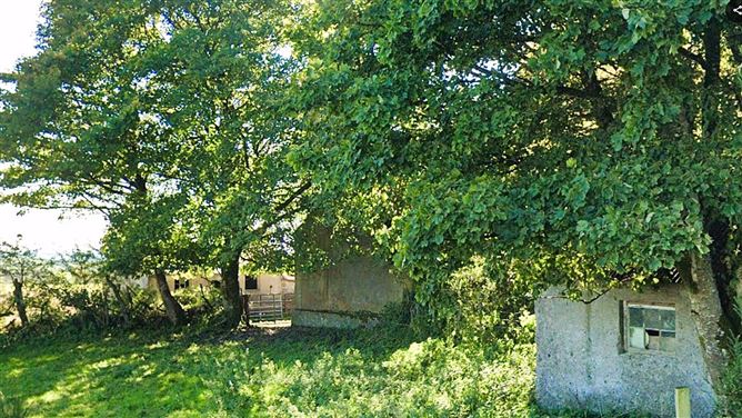 Derelict Cottage & Lands Cloonagashel, Ballymote, Co. Sligo