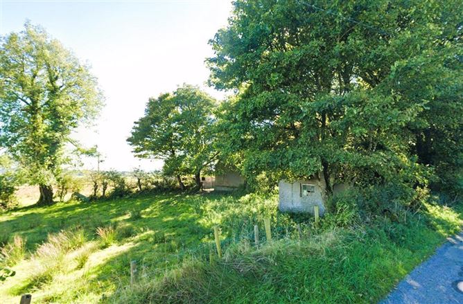Derelict Cottage & Lands Cloonagashel, Ballymote, Co. Sligo