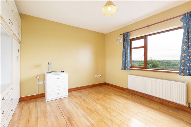 Loughill, Ballyguile Beg, Wicklow Town, Co. Wicklow