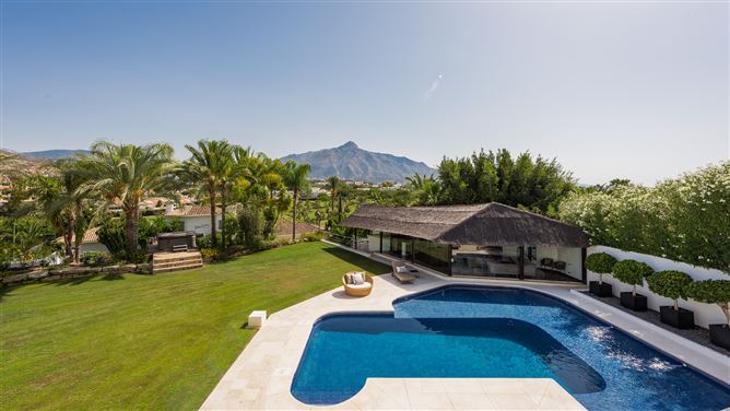 Spain, Marbella, Nueva Andalucia - 740-00403P
