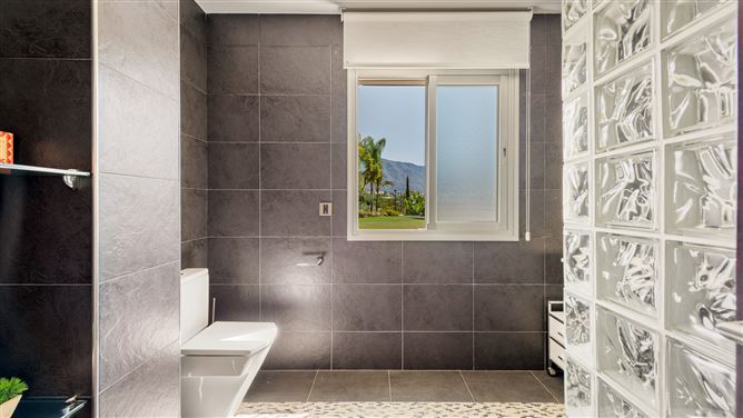 Spain, Marbella, Nueva Andalucia - 740-00403P