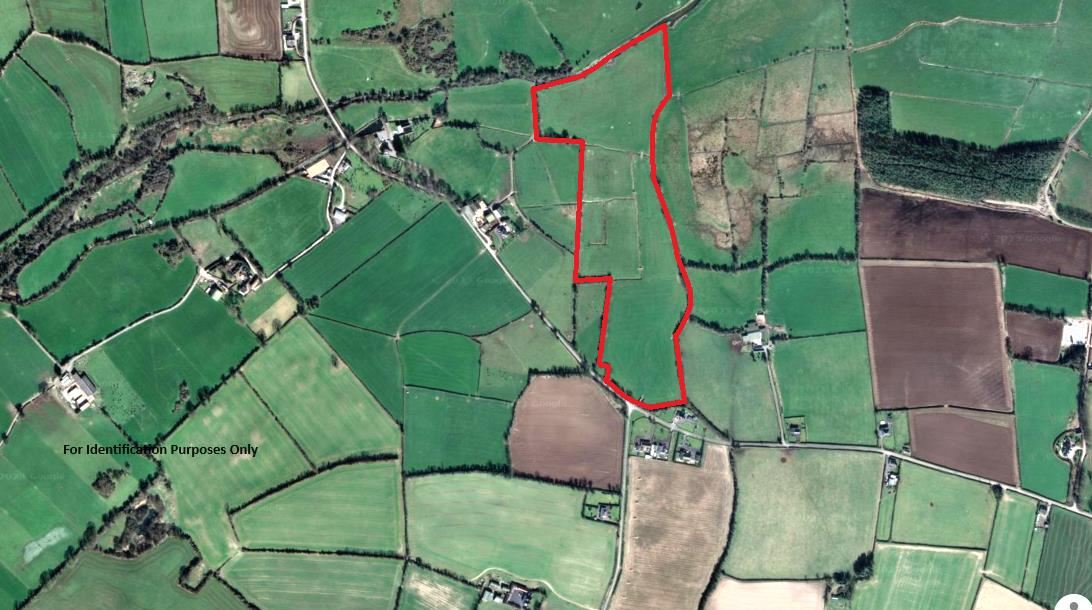 c. 26 acres Lands Newtown, Durrow, Laois