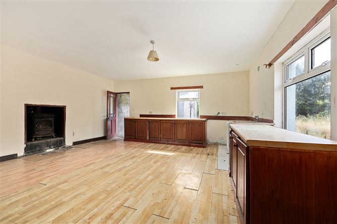 Cappanargid, Kildare, Rathangan, Co. Kildare