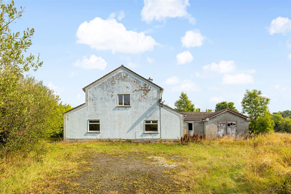 Cappanargid, Kildare, Rathangan, Co. Kildare