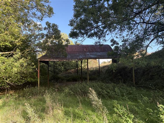 Ballycoog Lower (C. 40 Acres), Arklow, County Wicklow