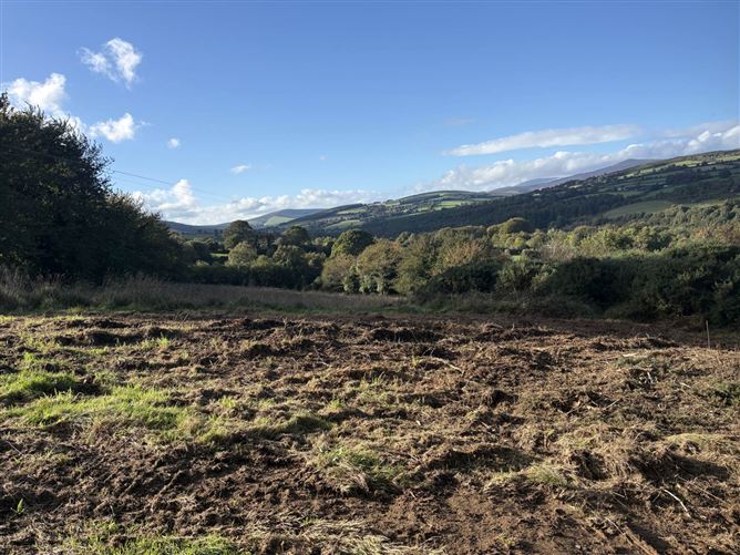 Ballycoog Lower (C. 40 Acres), Arklow, County Wicklow