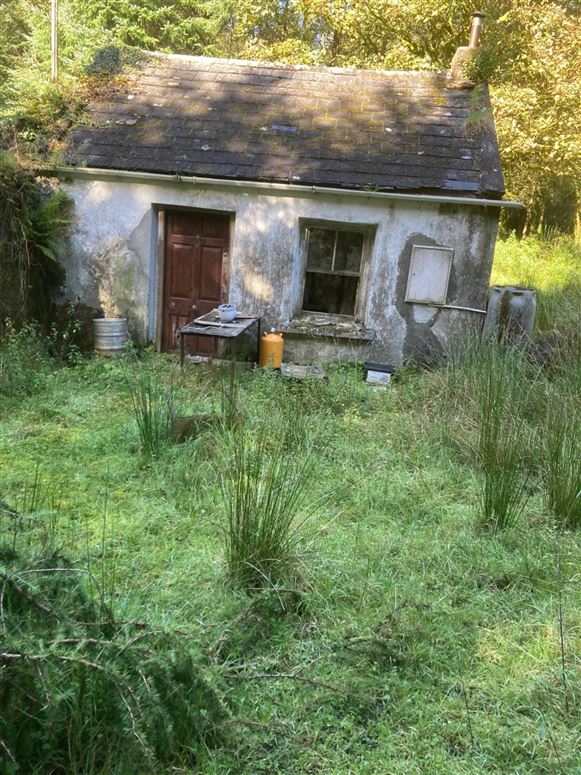 Bunnaglass, Loughrea, County Galway