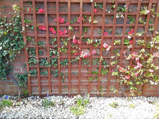 Homeleigh, 1 Orlagh Lodge, Knocklyon, Dublin 16