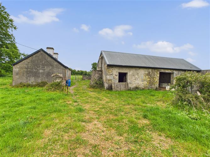 Spring Garden, Tynagh, Loughrea, Co. Galway