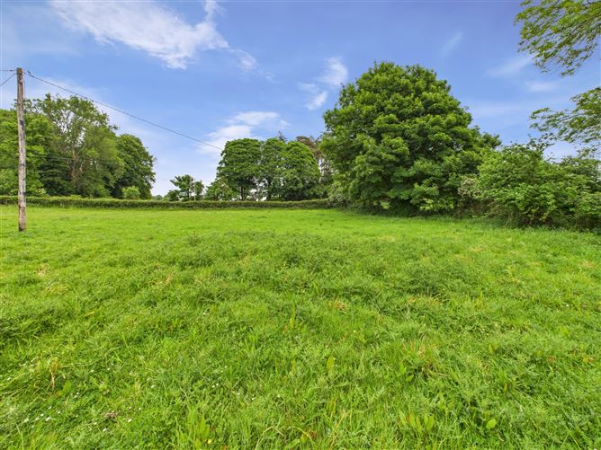 Spring Garden, Tynagh, Loughrea, Co. Galway