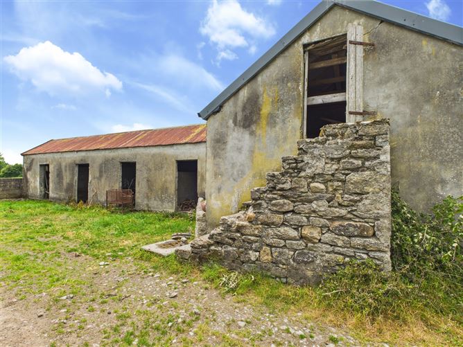 Spring Garden, Tynagh, Loughrea, Co. Galway