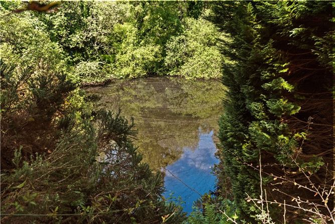 Waymark, Ballyedmonduff Road, Stepaside, Dublin 18
