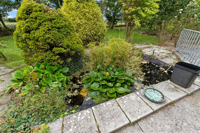 Brightwell, Moneyteige, Craughwell, Galway