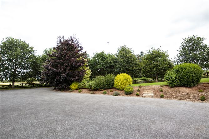 Slyguff, Bagenalstown, Carlow