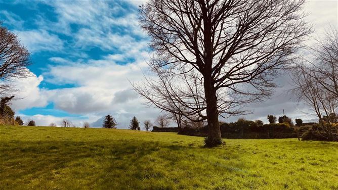 Monascriebe, Dundalk, County Louth