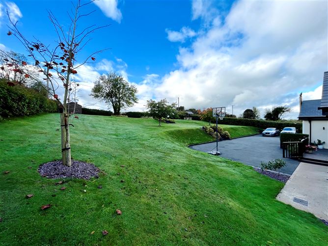 Derry, The Ballagh, The Ballagh, Wexford