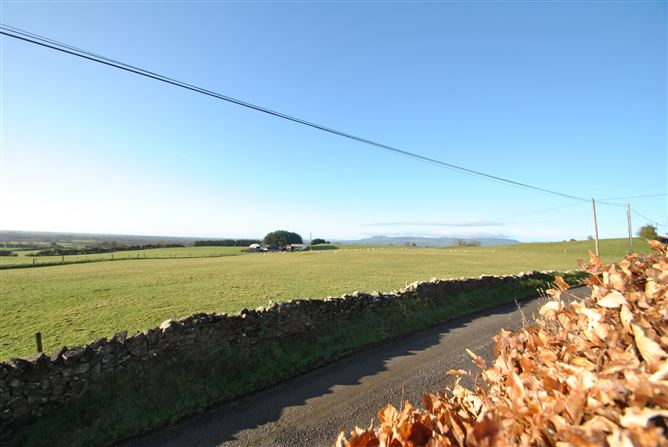 Ballinock, Couraguneen, Roscrea, Co. Tipperary