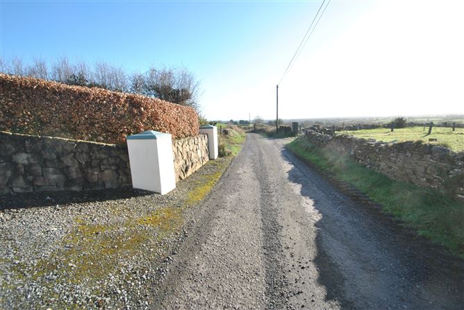 Ballinock, Couraguneen, Roscrea, Co. Tipperary