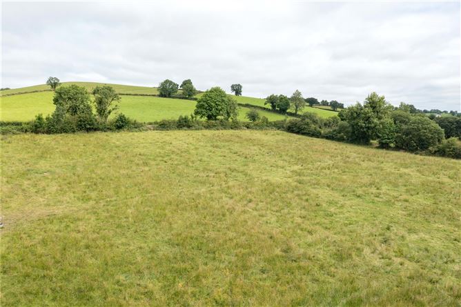 Drumcarn, Ballyhaise, Co. Cavan