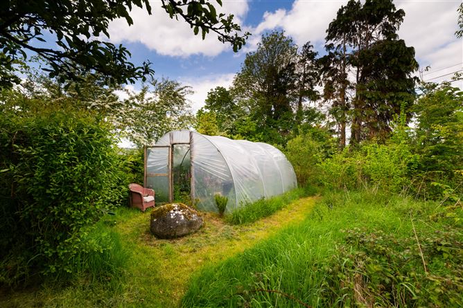 Ivy House, Loughkeen, Carrig, Birr, Co. Tipperary