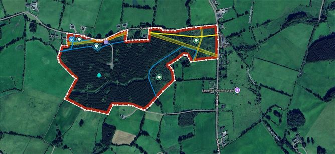 Forest No.793, Cloonarney, Delvin, Westmeath