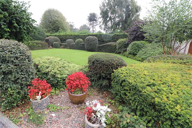 https://photos-a.propertyimages.ie/media/1/2/6/4949621/87738f5c-06e2-4ae3-9f17-f8096c9a9dfe_l.jpg