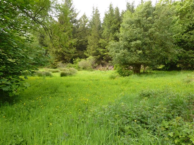 Devilish West, Ayle, Westport, Co. Mayo