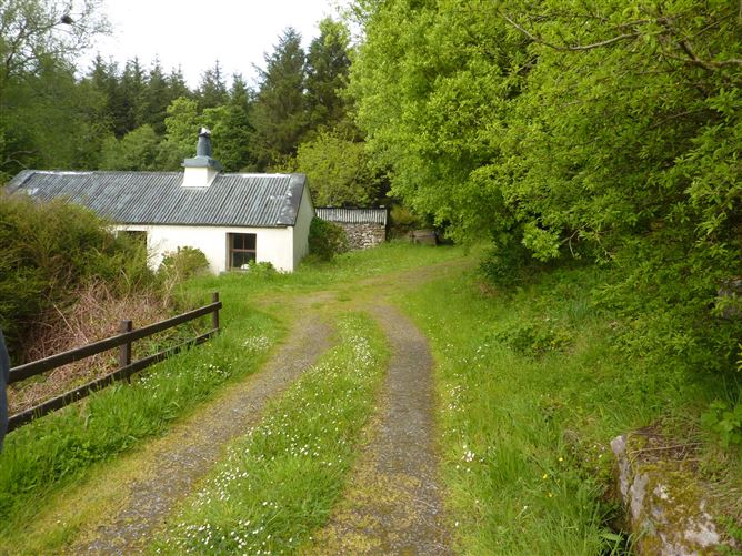 Devilish West, Ayle, Westport, Co. Mayo