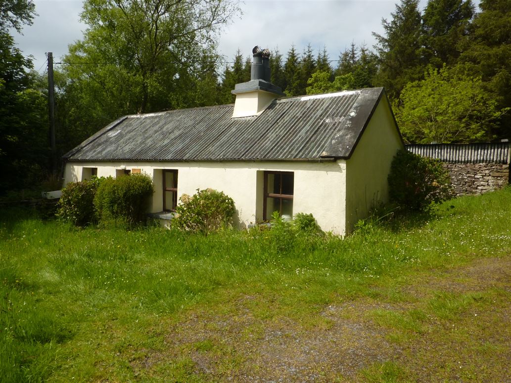 Devilish West, Ayle, Westport, Co. Mayo