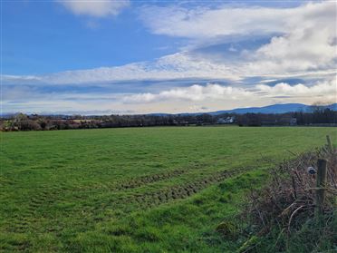Image for .50 Acre Site Newtown, Newtown, Fenagh, Co. Carlow
