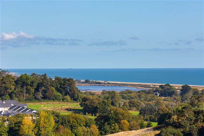 The Oyster, Hawks Bay, Wicklow Town, Wicklow