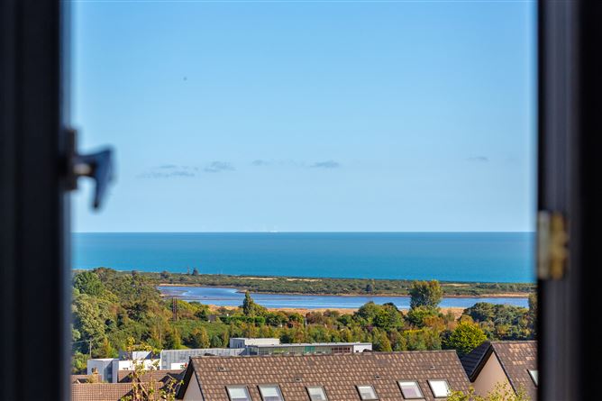 The Oyster, Hawks Bay, Wicklow Town, Wicklow