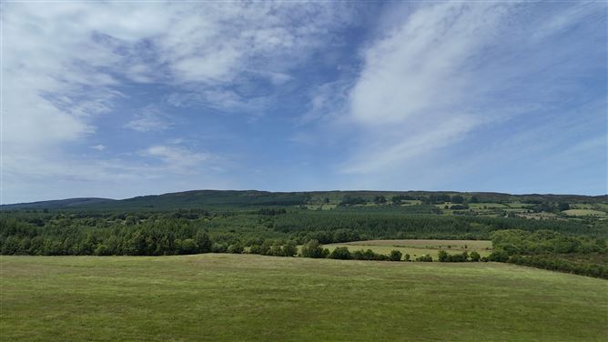 Photo 27 of 42 — Upper Clonehurk, Ballyfin, Portlaoise, Co. Laois