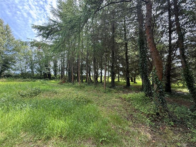 Photo 32 of 42 — Upper Clonehurk, Ballyfin, Portlaoise, Co. Laois