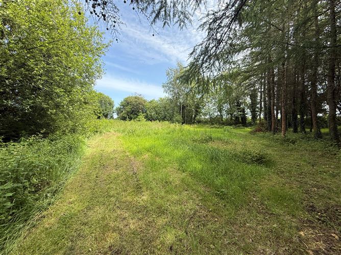 Photo 31 of 42 — Upper Clonehurk, Ballyfin, Portlaoise, Co. Laois