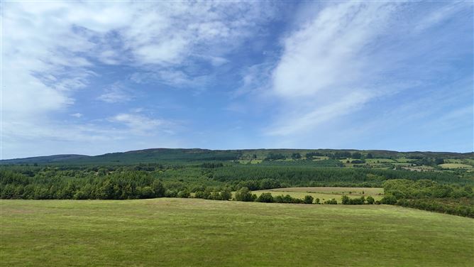 Photo 5 of 42 — Upper Clonehurk, Ballyfin, Portlaoise, Co. Laois