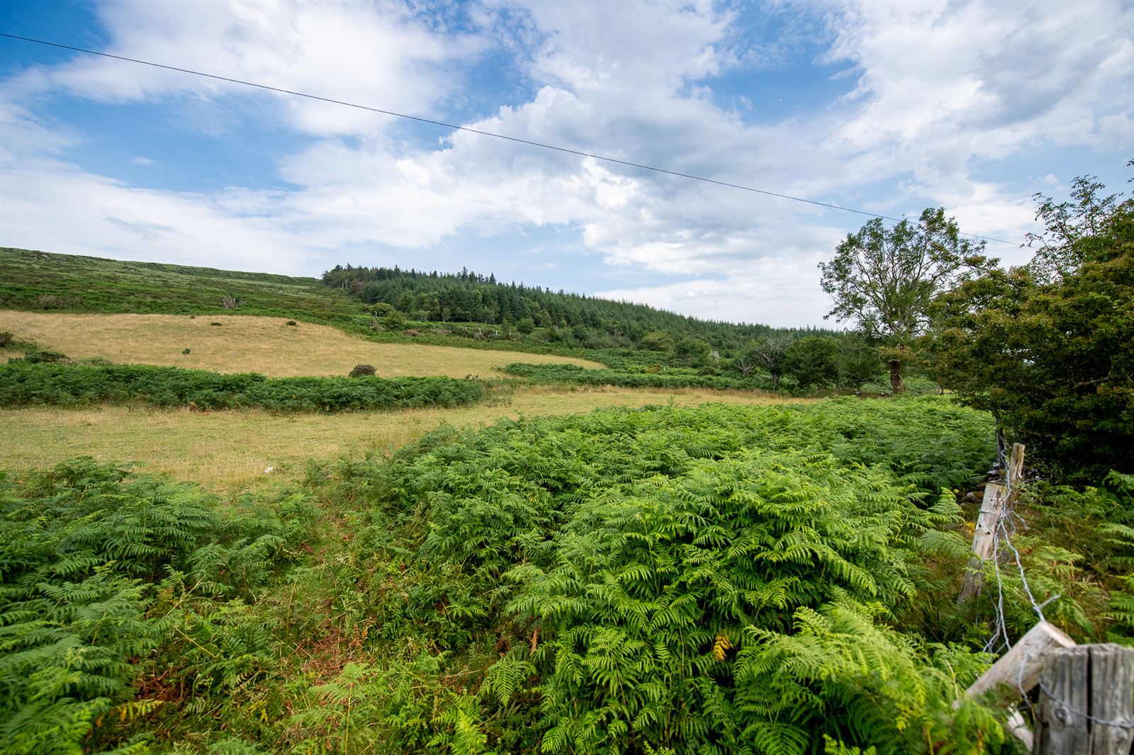 Lot 7, Gurteen, Kilgarvan, Co. Kerry, V93W293 Lot 7, Gurteen, Kilgarvan, Co. Kerry, V93W293