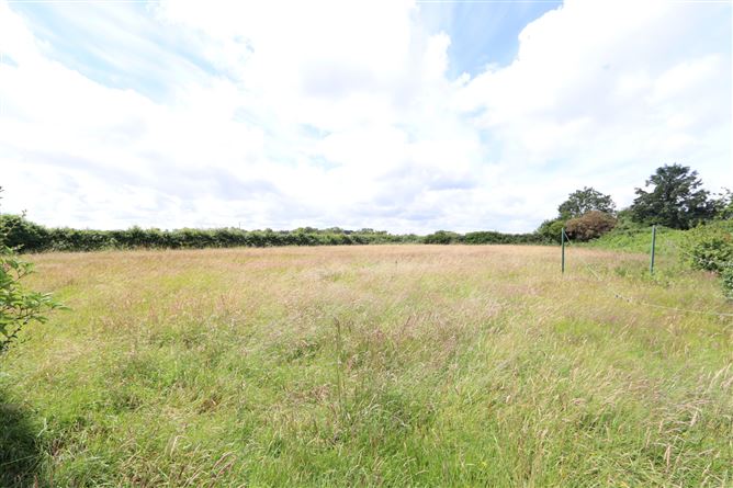 Garranstackle, Bree, Enniscorthy, Co. Wexford