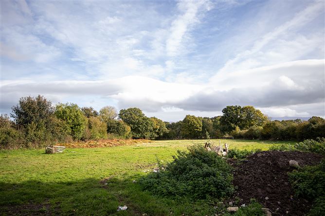 Ballinagree, Borris, Carlow