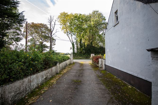 Ballinagree, Borris, Carlow