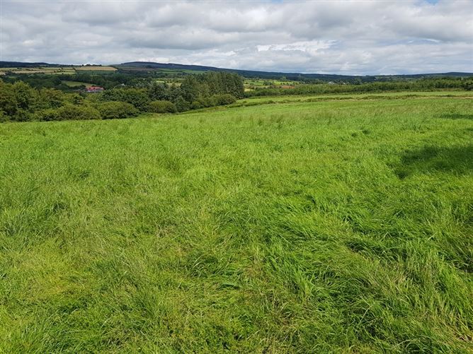 Drumgullane, Grange, Kinsalebeg, Waterford