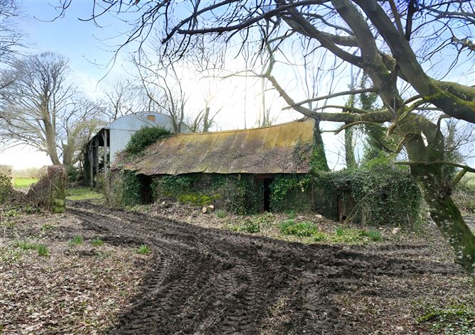 Period Farmhouse On C. 1.53 Acre, Knocknagull , Dunlavin, Wicklow