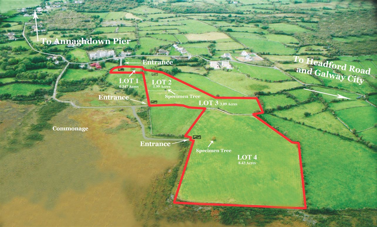 Woodpark, Annaghdown, Galway